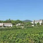 Photographie d'un hameau au milieu des vignes de l'AOC Clairette de Die