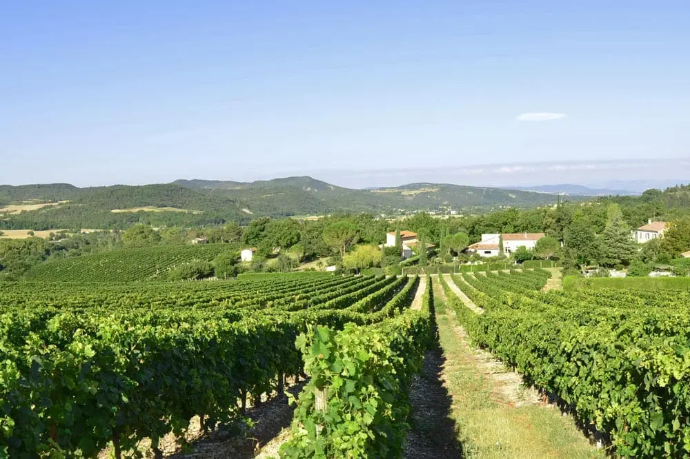 Photographie de Vignobles de la vallée de la Drôme