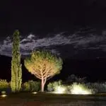 Photographie nocturne d'un jardin