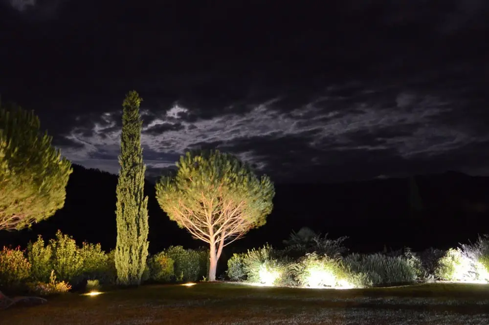 Photographie nocturne d'un jardin