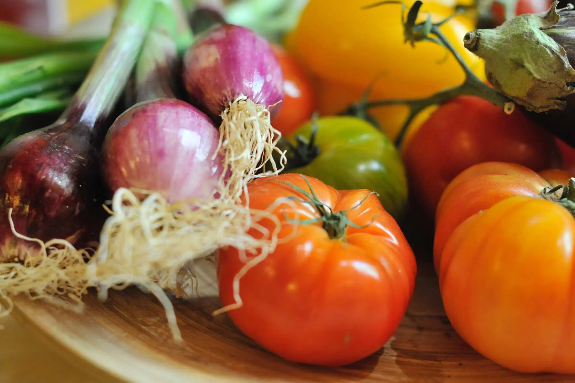 Photographie de légumes Bio dans la Drôme