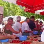 Photographie d'un marché dans vallée de la Drome