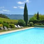 Photographie d'une grande piscine bordée de vignes