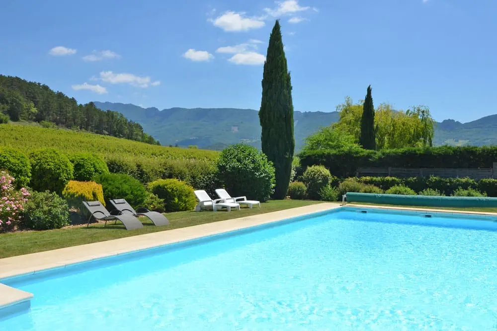 Photographie d'une grande piscine bordée de vignes