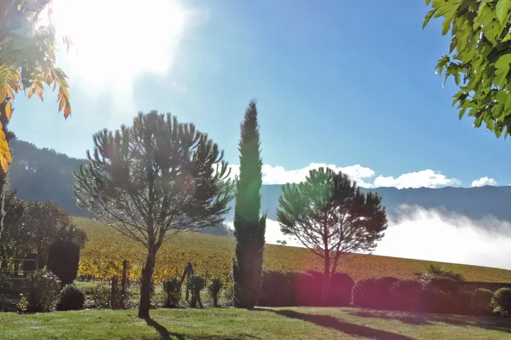 Photographie d'un jardin en automne ...