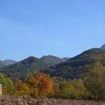 Photographie de vignobles à l'automne à Aubenasson dans la vallée de la Drôme