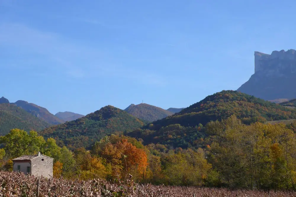 Photographie de vignobles à l'automne à Aubenasson dans la vallée de la Drôme