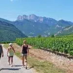 Photo d'une famille en promenade dans des vignobles