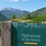 Photographie de de la Clairette de Die à Vercheny
