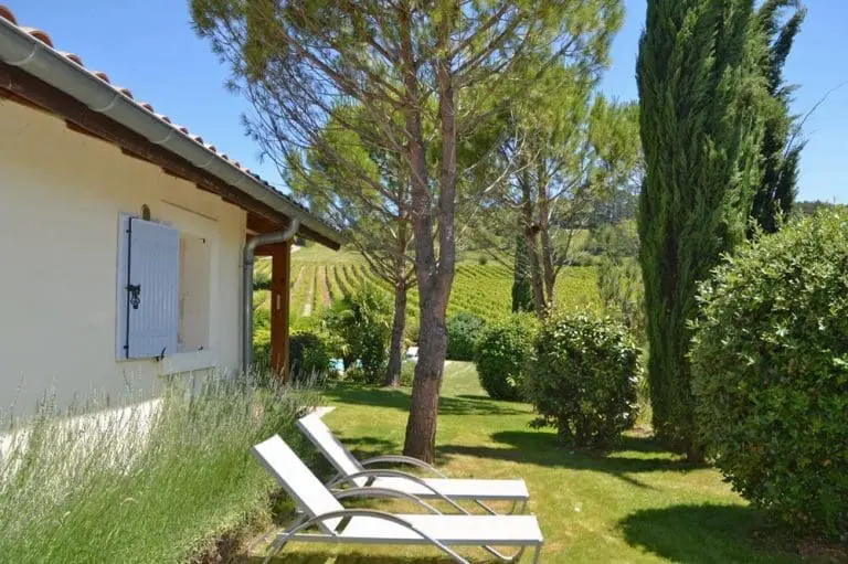 Photographie d'un jardin avec des pins parasols un cyprès et des lavandes