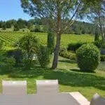 Photographie d'un jardin avec des pins parasols et des Vignes