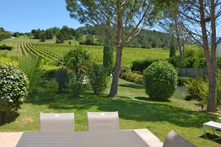 Photographie d'un jardin avec des pins parasols et des Vignes