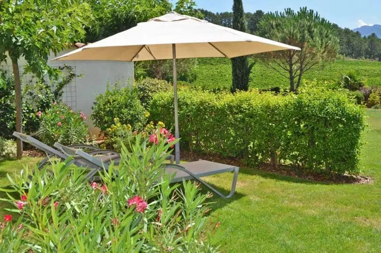 Photographie d'un jardin avec des lauriers roses avec vue sur les vignobles de la Clairette de Die
