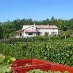 Un domaine en pleine nature